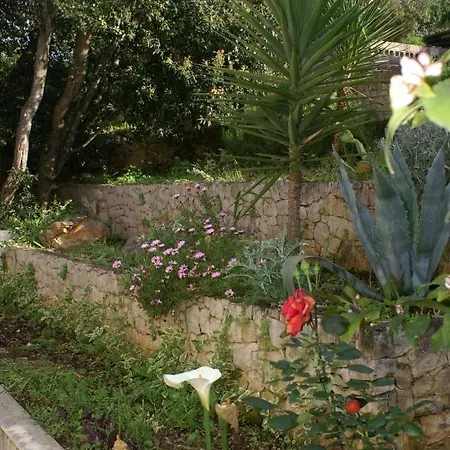 By The Sea Zrnovska Banja, Korcula - 3154